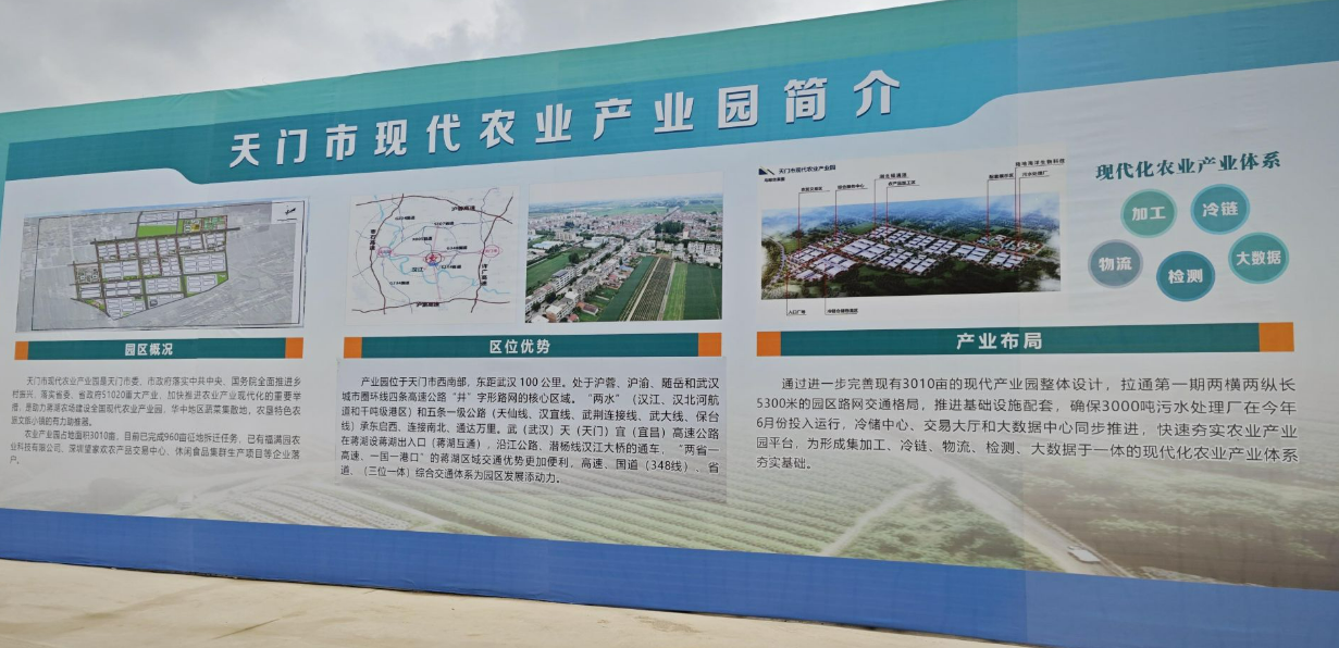 天门现代农业产业园创建启动助推特色农产品深加工发展